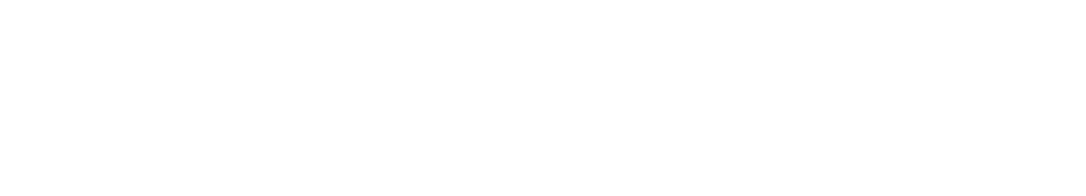 Logotipo Transmoll en blanco
